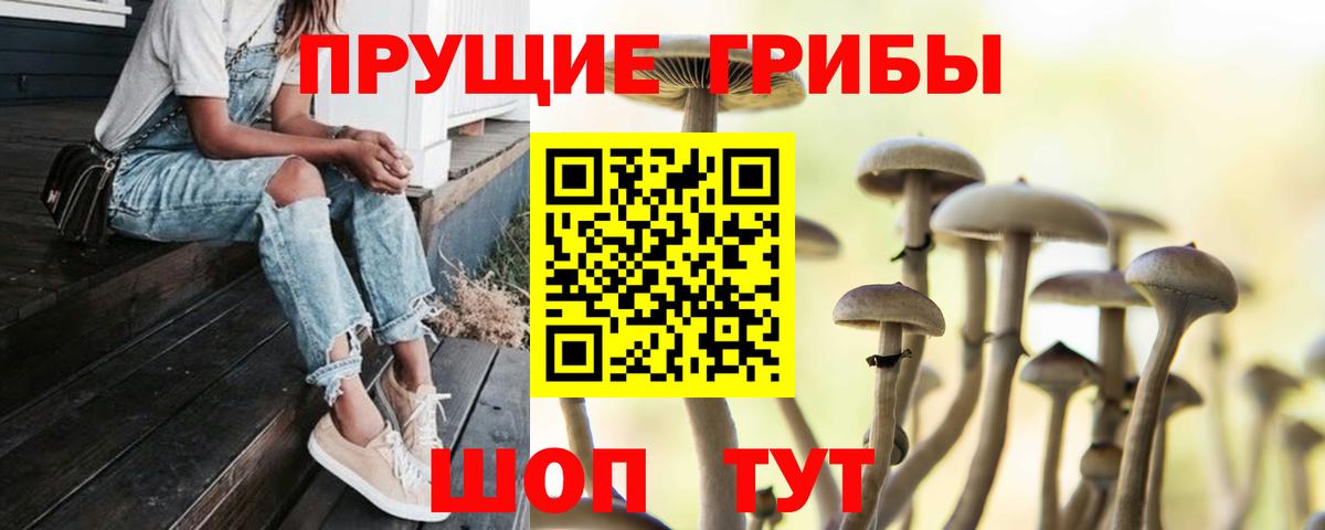 Галлюциногенные грибы прущие грибы  Вход с VPN  Севастополь 